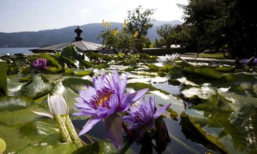 Bootsfahrt über den Lago Maggiore von Stresa auf die Isola Madre