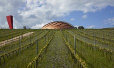 Tenuta Castelbuono-Carapace Erfahrung - Weingut Tour und Verkostung