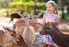 Family Day at the Zoo